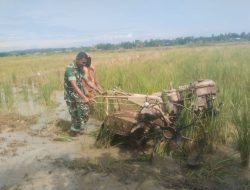 Babinsa Paya Bakong Tak Ragu Turun ke Sawah, Dampingi Petani Olah Lahan