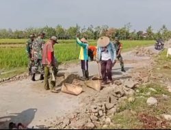 Cegah Kecelakaan, Babinsa dan Warga Guworejo Gotong Royong Perkuat Bahu Jalan