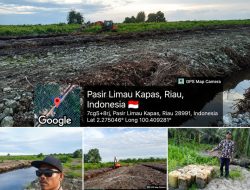 Tim Media dan Tokoh Masyarakat Telusuri Dugaan Perambahan Zona Hijau di Sungai Daun, Minta APH Lakukan Penyelidikan