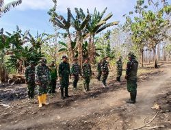 Satgas TMMD Berpacu dengan Waktu, Semangat Gotong Royong Wujudkan Jalan Impian Warga Desa Bercak