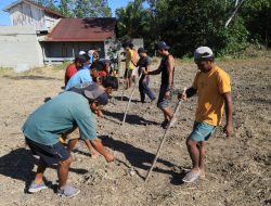 TMMD Ke-129 Tak Hanya Membangun, Tapi Juga Menanam Harapan Melalui Ketahanan Pangan