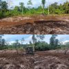 TMMD Ke-129 Tuntaskan Pembukaan Lahan 1 Hektar, Siap Ditanami untuk Perkuat Ketahanan Pangan Kampung Sesor