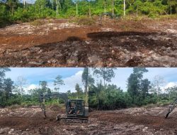TMMD Ke-129 Tuntaskan Pembukaan Lahan 1 Hektar, Siap Ditanami untuk Perkuat Ketahanan Pangan Kampung Sesor