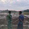Melihat Kondisi Sawah di Awal Musim Tanam, Babinsa Datang Menemui Petani