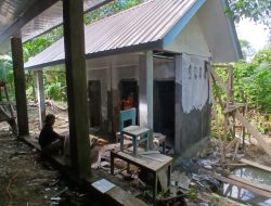 Satgas Bakti TNI Lanjutkan Rehabilitasi SMPN 3 Satu Atap Aramo, Sarana Belajar Terus Dibangun
