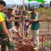 Wujudkan Kemanunggalan dan Toleransi, Pos Kampung Jasa Satgas Pamtas Yonarmed 13/Nanggala Bersama Warga Gelar Kerja Bakti Pembangunan Gereja di Desa Jasa