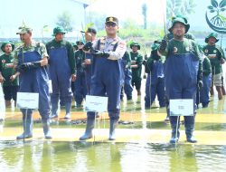 Polres Gresik, Forkopimda dan PT Smelting Tanam 10.000 Mangrove di Randuboto