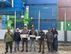 Tim Gabungan Kodaeral XIV Gagalkan Penyelundupan Satwa Dilindungi di KM Dobonsolo
