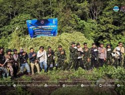 Jelang HUT KE-81 RI, BNN Jaga Bangsa Dari Narkotika dengan Memusnahkan 12 Hektare Lahan Ganja