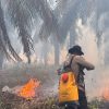 Polda Sumsel Kerahkan Personel Padamkan Karhutla di Wilayah PT PAR OKI