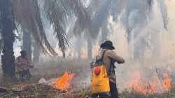 Polda Sumsel Kerahkan Personel Padamkan Karhutla di Wilayah PT PAR OKI