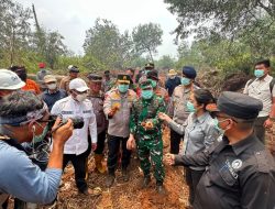 Karhutla Kerumutan Jadi Perhatian, Pangdam XIX/Tuanku Tambusai Turun Langsung ke Lokasi