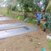 Bantu Petani Pindahkan Bibit Terong, Babinsa Tanah Pasir Turun Langsung ke Kebun