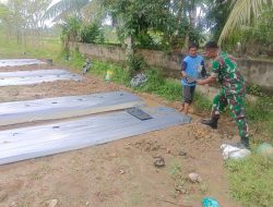 Bantu Petani Pindahkan Bibit Terong, Babinsa Tanah Pasir Turun Langsung ke Kebun