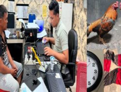 Polres OKU Timur Ungkap Kasus Perjudian Sabung Ayam, Satu Orang Tersangka Diamankan