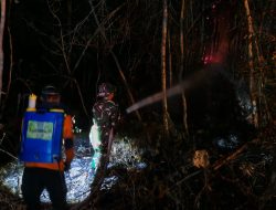 Kobaran Api Hanguskan Lahan di Gunung Gandul, Regu Pemadam Kodim 0728/Wonogiri Bergerak Cepat
