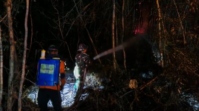 Kobaran Api Hanguskan Lahan di Gunung Gandul, Regu Pemadam Kodim 0728/Wonogiri Bergerak Cepat