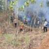 Petugas Gabungan Kembali Padamkan Kebakaran Hutan dan Lahan di Gunung Gajah