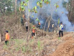Petugas Gabungan Kembali Padamkan Kebakaran Hutan dan Lahan di Gunung Gajah