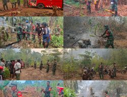Gerak Cepat TNI dan Warga Padamkan Kebakaran Lahan di Momiwaren