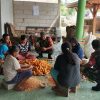 Panen Jagung di Gesi Jadi Ajang Komsos, Babinsa Turun Langsung Bantu Petani