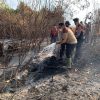 Kapolres Mesuji Turun Langsung Pimpin Penyisiran dan Pemadaman Kebakaran Lahan Perkebunan Tebu PT. Silva Inhutani