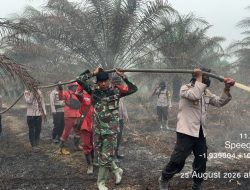 Operasi Aman Nusa II, 10 Personel Satbrimob Padamkan Karhutla di Bayung Lencir