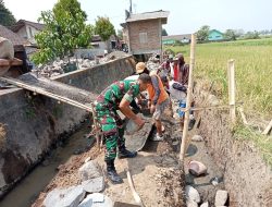 Perkuat Irigasi Pertanian, Babinsa Ketaon Bersama Warga Bangun Talud