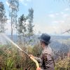 Operasi Aman Nusa II Padamkan Karhutla Seluas 9 Hektare di Sungai Menang