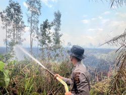 Operasi Aman Nusa II Padamkan Karhutla Seluas 9 Hektare di Sungai Menang