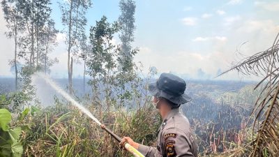 Operasi Aman Nusa II Padamkan Karhutla Seluas 9 Hektare di Sungai Menang
