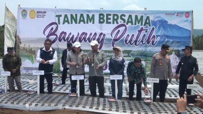 AKSELERASI SWASEMBADA PANGAN: KEPALA PUSAT BRMP DR. INTI PERTIWI NASHWARI HADIRI TANAM PERDANA BENIH SUMBER BAWANG PUTIH DI MUARA ENIM