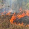Babinsa Koramil Sota Sigap Padamkan Kebakaran, Cegah Api Meluas ke Kawasan Hutan