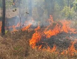 Babinsa Koramil Sota Sigap Padamkan Kebakaran, Cegah Api Meluas ke Kawasan Hutan