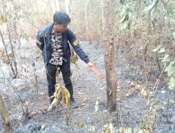 Operasi Aman Nusa II, Tim Gabungan Padamkan Karhutla Dekat Sumur Produksi Pertamina di Lembak