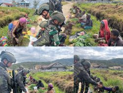 Satgas Yonif 2 Marinir Dukung Petani Lokal, Hasil Tani Warga Pasir Putih Diborong