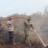 Kodam XIX Tuanku Tambusai Kerahkan 310 Personel Jinakkan Karhutla di Pelalawan, 967,69 Hektare Terbakar