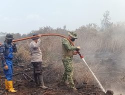 Kodam XIX Tuanku Tambusai Kerahkan 310 Personel Jinakkan Karhutla di Pelalawan, 967,69 Hektare Terbakar