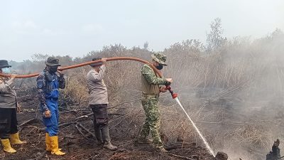 Kodam XIX Tuanku Tambusai Kerahkan 310 Personel Jinakkan Karhutla di Pelalawan, 967,69 Hektare Terbakar