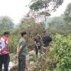 Lurah Sentosa Tegaskan Kebakaran Lahan Berada di Kawasan JSC, Bukan Wilayahnya