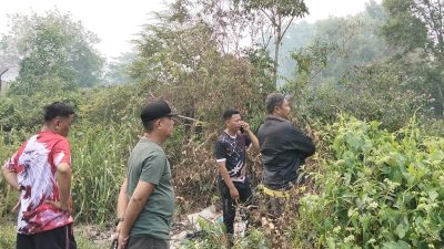 Lurah Sentosa Tegaskan Kebakaran Lahan Berada di Kawasan JSC, Bukan Wilayahnya