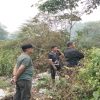 Lurah Sentosa Tegaskan Kebakaran Lahan Berada di Kawasan JSC, Bukan Wilayahnya