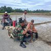 Silaturahmi di Tepi Sawah, Babinsa Pererat Kedekatan dengan Petani