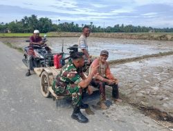 Silaturahmi di Tepi Sawah, Babinsa Pererat Kedekatan dengan Petani