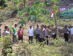 Polresta Sorong Kota Bagikan 100 Bibit Pohon Gratis, Dukung Penghijauan dan Ketahanan Pangan Masyarakat