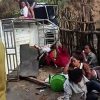 Pick Up Terguling di Tikungan Jembatan Jengki Sape, 17 Penumpang Luka-Luka