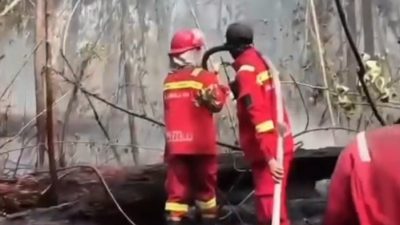 Di Tengah Perayaan HUT ke-81 RI, Tim Brigdal Karhutla Kaltara Tetap Bergerak Padamkan Kebakaran