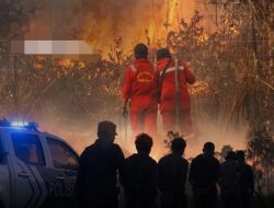 Bareskrim Polri Tangani Dugaan Pembakaran Hutan dan Lahan, Riau Catat Kasus Terbanyak