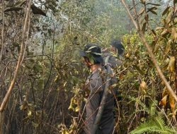 Operasi Aman Nusa II, Subsatgas Posko Tulung Selapan Padamkan Karhutla di PT TIAN