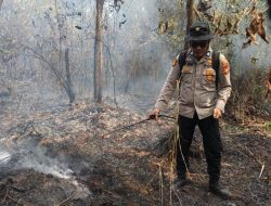 Tony Saputra Dorong Collaborative Policing untuk Perkuat Penegakan Hukum Karhutla